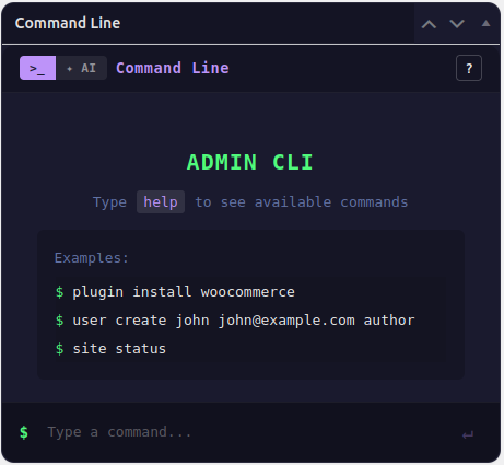 CDW Command Line widget in the WordPress admin dashboard